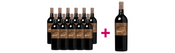 Anciens Temps, Grande Réserve (Merlot Cabernet) Paket (11 plus Magnum)