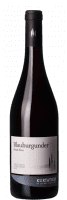 Cantina Kurtatsch, Blauburgunder Selection DOC, 2022